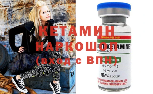 амф Гусев