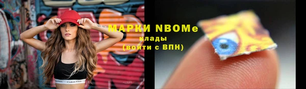 индика Володарск