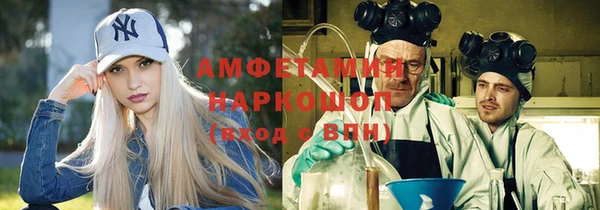 индика Володарск