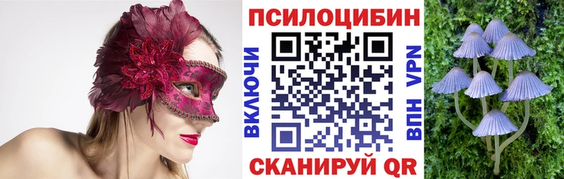 Галлюциногенные грибы ЛСД  Дмитриев 